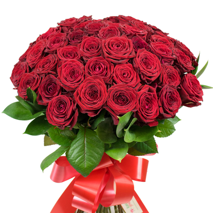 Imagine holding a bouquet that feels like an embrace of Oxford's spirit-fifty vibrant red roses, densely arranged and perfectly rounded, command attention with their plush, velvety petals that deepen in colour from cherry to garnet in the slanting light. Each bloom is at a different stage, with some unfurling their intricate centers and others lingering as tight, promising buds. Nestled amidst this passionate display, glossy, dark green leaves catch the light, recalling the old elms of Port Meadow and adding an earthy contrast to the intensity of crimson above. Securing the stems is a resplendent satin ribbon in matching red, tied into an ornate, trailing bow that hints at celebration and thoughtfulness. The arrangement is generous and theatrical, designed for moments where words are not enough-whether for a bold proposal near Oxford Castle, a heartfelt anniversary along Cowley Road, or a spontaneous gesture meant to surprise and delight. Each detail is intentional, a testament to skilled floristry; the interplay of texture, colour, and composition creates a bouquet that not only catches the eye but also stirs the heart, bringing a touch of Oxford's romantic legacy into every special occasion.