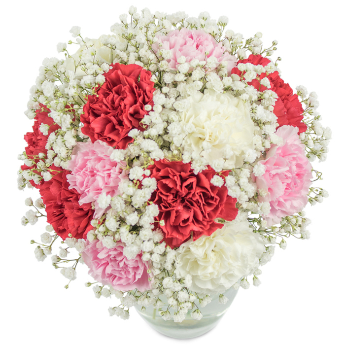 A sumptuous bouquet reflective of Oxford's character, this arrangement artfully gathers a tapestry of richly coloured carnations and airy baby's breath, all cradled in a clear rounded vase. The generous blooms of deep crimson, blush pink, and creamy white carnations are carefully interspersed with hundreds of tiny, snow-white gypsophila florets. The textured, ruffled petals of the carnations are rendered nearly luminous by balanced overhead lighting, which captures each subtle shade and cascading fold. Densely clustered yet evenly distributed, the flowers form an abundant spherical silhouette, their colours unified by skillful placement for harmony and visual depth. The open, cloud-like veil of baby's breath imbues the design with softness, giving the arrangement a gentle, almost ethereal presence that calls to mind a morning stroll through University Parks in early spring. Subtle glimpses of green stems and shimmering water beneath remind one of the rivers weaving through Oxford, grounding the exuberance in natural simplicity. This bouquet is perfect for conveying love, gratitude, or joyful celebration-a classical choice that would grace any table, echoing moments of family gatherings, graduations, or quiet Sunday afternoons near the Bodleian. Its timeless beauty, crafted by those who know the rhythms of Oxford, carries a spirit of warmth and welcome wherever it is sent.