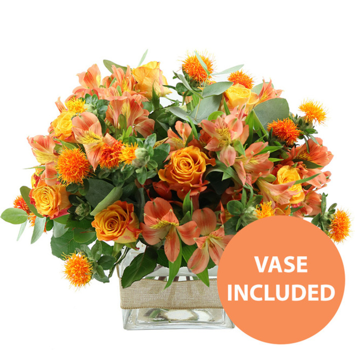 A vibrant arrangement of orange, peach, and yellow blooms sits front and center against a spotless white background, the kind of bouquet you might expect to find carefully arranged by a local Oxford florist preparing orders for homes in Summertown or along Iffley Road. At first glance, the eye is drawn to the rich orange roses, each head perfectly shaped, with petals that show subtle variations in tone, from fiery tangerine to a softer, almost apricot shade near the center. Some of these roses display a beautiful gradient effect, as if brushed with golden yellow at their heart, creating an impression of gentle warmth radiating outward. Bright yellow garden roses nestle between them, their more tightly packed petals offering a textural contrast and adding pockets of sunlight to the composition. Interlaced among the roses are delicate stems of peach and light orange alstroemeria, also known as Peruvian lilies. Their slim, pointed petals reveal fine stripes and freckles of darker orange and brown, giving the bouquet a painterly, almost hand-illustrated quality. To add drama and tactile interest, small globes of spiky orange blooms are scattered throughout, resembling safflower or thistle-like flowers, each one a burst of vivid colour and texture that prevents the design from becoming too traditional. Surrounding and supporting the flowers, soft, silvery eucalyptus leaves mingle with deeper green foliage, bringing structure, depth, and a fresh, leafy counterpoint to the warm-toned petals. The stems are clearly visible through the clean lines of a square glass vase, which is wrapped around its middle with a band of light beige burlap or jute for a subtly rustic detail. In the bottom right corner of the photograph, a bright circular orange badge with bold white lettering reads VASE INCLUDED, indicating that this abundant, ready-made centerpiece arrives complete and prepared for display in any Oxford living room, dining space, or workplace. This image captures a bouquet that feels celebratory yet comforting, ideal for birthdays, thank you gestures, or simply brightening a grey day by the Thames.