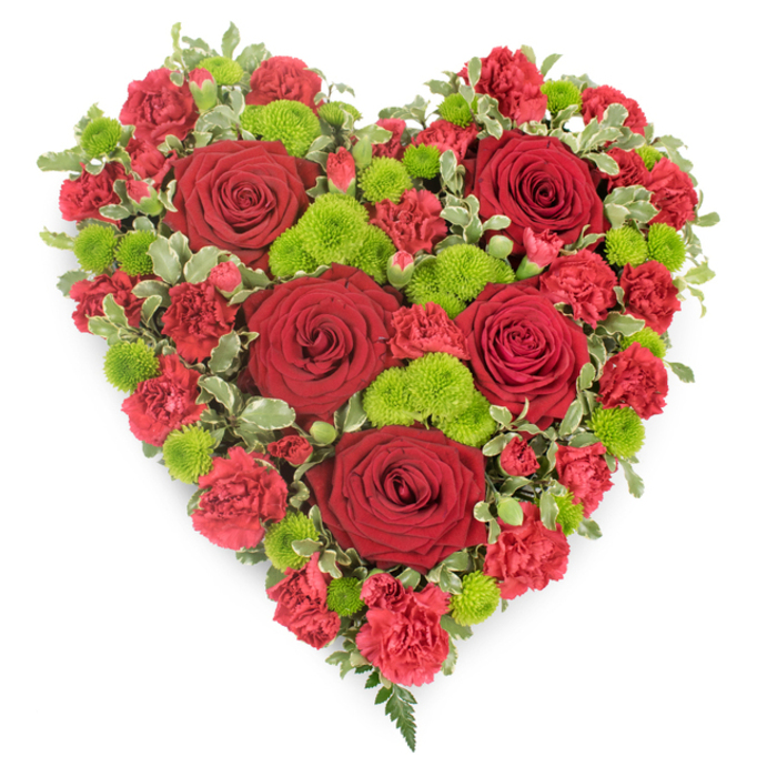 Set against a bright white backdrop, this heart-shaped floral tribute stands out with an intense harmony of deep red and spring-like green, crafted with the precision of a skilled Oxford florist. The heart is densely filled so that every inch is covered, giving a sense of generosity and fullness, as though the feelings behind it have overflowed into flowers. Dominating the design are several large, perfectly formed red roses, their petals layered in tight spirals at the centre and unfurling slightly at the edges, suggesting both strength and tenderness. These roses sit amid a sea of smaller red blooms, likely mini or spray carnations, whose ruffled petals overlap to create a soft, plush texture, particularly along the curves and top of the heart. Interspersed at thoughtful intervals are bright lime-green button chrysanthemums, their rounded heads and fine, compact petals catching the light and adding a crisp contrast to the deeper crimson tones. Around the outer edge, sprigs of variegated foliage, green with creamy white margins, frame the heart and gently blur its outline, while at the very tip a slim fern frond extends outward, adding a subtle note of natural grace. The overall style is classic yet contemporary, perfect for a funeral or memorial service in and around Oxford, from Headington to Summertown, where families seek an elegant way to honour a life. The palette of passionate reds and hopeful greens makes the arrangement feel both like a farewell and a quiet promise that love will be remembered long after the service has ended.