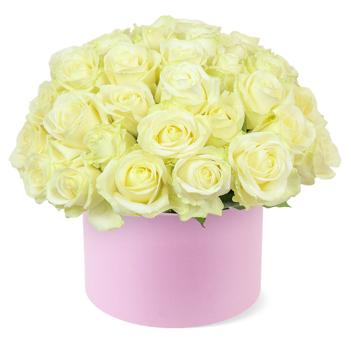 A round blush-pink hat box overflows with creamy white roses, creating a sumptuous dome of petals that seems to float against a pristine white background. The box itself is a gentle pastel pink with a velvety, matte finish, its simple, modern profile contrasting beautifully with the intricate, organic curves of each bloom. Dozens of roses are tightly gathered, their stems hidden inside the container so that only the luxuriant flower heads are visible. Each rose displays delicately layered petals in tones of soft cream and pale ivory, with a faint whisper of pastel yellow nestled at the very centre of some blossoms, conveying freshness and the tenderness of newly opened flowers. The blooms are at their peak, neither tight buds nor fading, but generously full and open, creating a plush, cushion-like surface where each spiral of petals blends seamlessly into the next. Subtle touches of greenery peek from between the roses at the base, framing the arrangement without distracting from the purity of the light-coloured petals. The image feels calm and contemplative, like a quiet moment in an Oxford college quad at dusk, where old stone and green lawns create a backdrop for small, meaningful celebrations. Crafted with the care and precision you would expect from an experienced Oxford florist, this design is ideal for marking milestone anniversaries, intimate wedding breakfasts in city-centre venues, or thoughtful surprises delivered to homes around Summertown and Headington. The arrangement communicates love, gratitude, and refined sophistication through its harmonious mix of contemporary styling and timeless rose beauty.