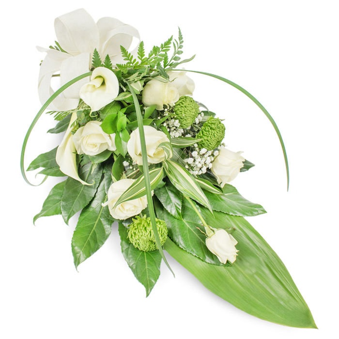 This elongated cascade, set against a pristine white background, embodies calm and careful craftsmanship-the kind of sympathy spray often chosen for memorial services around Botley Road, Radcliffe Square and the colleges. Creamy white roses, some fully open with layered, silky petals and others held as modest buds, create the central narrative of tenderness. Complementing them are clean, sculptural white Calla lilies whose trumpet-like forms introduce serene verticality and refined lines. Bright lime-green button chrysanthemums are scattered through the composition, their compact, textured spheres offering a modern counterpoint to the soft roses. Interlaced between the stronger flowers, tiny clusters of white baby's breath lend an ethereal, breathy softness, while fronds of fern and variegated foliage provide a woodland whisper and visual depth. The arrangement's architecture is strengthened by long, bright-green blades that arch gracefully across the piece, imparting movement and a contemporary sweep; the design tapers down to a single broad, glossy green leaf that forms a sleek, pointed tail. At the upper left a muted cream ribbon is tied into a simple bow, its matte fabric quietly comforting against the glossy leaves. In scent and touch the piece mixes velvety petals with fresh, green foliage; visually it conveys dignity, hope and restrained beauty. As a local florist serving Oxford I picture this spray placed in chapels near Christ Church Meadow or delivered to families gathering at the Covered Market, its neutral palette and thoughtful lines offering solace and respectful remembrance.