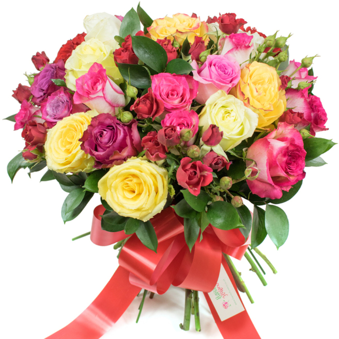 A sumptuous, closely gathered bouquet of roses set against a stark white field, its full, rounded silhouette a study in colour, texture and romantic intent. Large, layered hybrid tea roses open into soft rosettes while smaller spray roses and tight buds create a delicate counterpoint, the ensemble ranging from bright sunny yellow and gentle creamy whites to a spectrum of pinks-muted blush, true pink, and startling fuchsia-alongside deep burgundy and rich crimson accents. A few bicoloured petals, pale at the edges and rosier toward the centre, add a painterly touch. Interspersed glossy greenery, likely ruscus or salal, forms a verdant scaffold that lets each bloom read clearly and gives the composition a freshly cut, late-morning garden quality. The stems are tidily gathered and finished with a wide red satin ribbon tied in a graceful bow with long flowing tails; a small white tag is tucked into the knot, showing a stylised logo and the words Happy Holidays, a subtle nod to seasonal celebration. The lighting renders petals with a silky sheen and suggests a clean, slightly citrus fragrance; the arrangement feels exuberant yet refined, suited to mark special moments-from Valentine's Day and Mother's Day to a heartfelt congratulations. Imagining it in an Oxford flat or as a centrepiece at a home near Magdalen Bridge, you can picture the bouquet lifting the room with colour and scent, an elegant emblem of care and celebration.