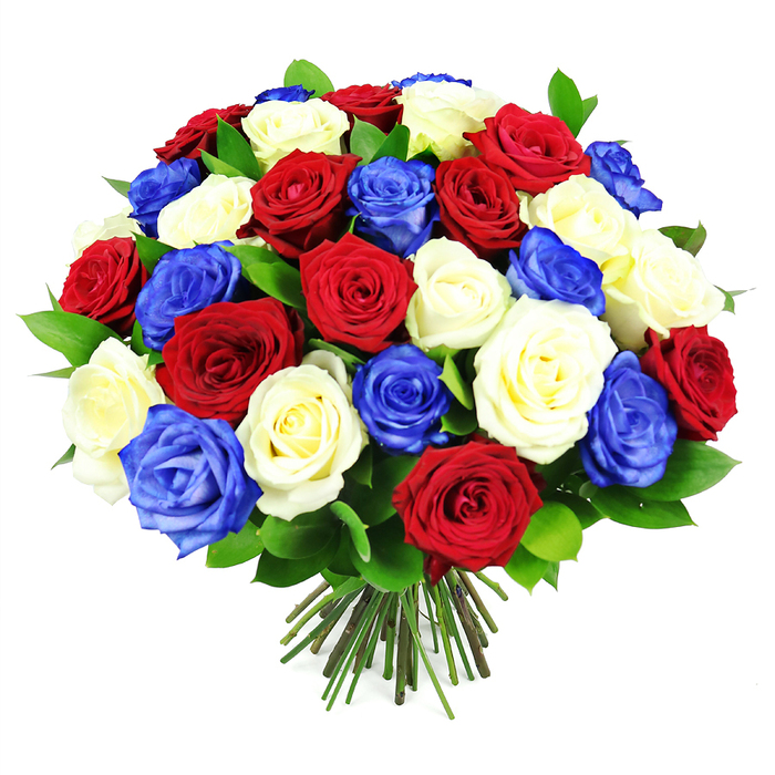 In this image, a sumptuous dome of roses dominates the entire scene, the bouquet so full and rounded it almost resembles a perfectly formed globe of colour hovering over a spotless white surface. The roses are arranged in a bold patriotic trio of shades: rich crimson red, soft yet bright ivory white, and an intense royal blue, each bloom nestled so closely that their velvety petals nearly overlap. Some flowers are in full, open splendour, revealing layered spirals that curve inward like tiny architectural marvels, while others are in earlier stages of bloom, petals gently unfurling and giving the arrangement a sense of life and unfolding stories. Pockets of glossy dark green leaves weave through the blossoms, their smooth surfaces catching subtle highlights, offering depth and contrast the way leafy avenues do along Oxford's Cowley Road on a sunny day. Beneath the lush crown of roses, a bundle of straight, uniformly cut stems is visible, tightly gathered and secured, a clear sign of a hand-crafted bouquet created for display in a favourite vase in Headington or a cosy café near the Covered Market. The background is completely white and uncluttered, making the red, white, and blue colour scheme leap forward and command attention. This arrangement feels both ceremonial and intimate, suitable for honouring national celebrations, remembrance events, or personal achievements like an Oxford graduation or a retirement celebration. It suggests quiet dignity, gratitude, and shared pride, a floral expression that would sit just as comfortably in a historic college hall as on a family table, bringing a sense of unity, strength, and refined beauty to any occasion across the city.