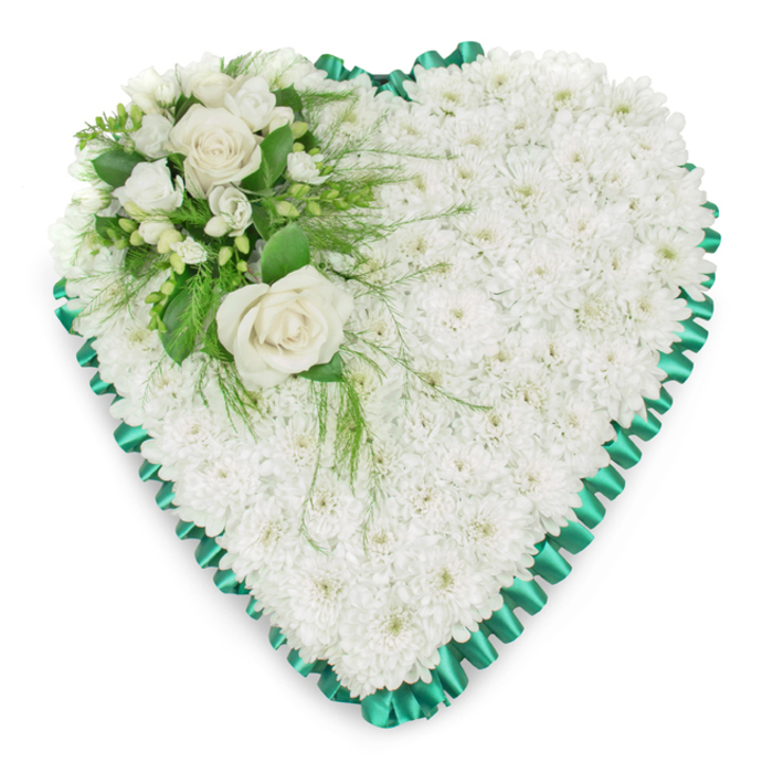 Refined and serene, this heart-shaped funeral wreath is crafted from a thick covering of white chrysanthemums, often known locally as spray mums, placed so closely together that they form a smooth, plush carpet of petals. Each tiny bloom contributes to the impression of purity and calm, suggesting a snow-soft blanket laid carefully in the shape of a heart. The entire outline is framed with an emerald green satin ribbon, expertly pleated to create a rhythmic, scalloped edge that gives the tribute a polished, traditional finish. In the upper left section of the heart, an accent spray offers a gentle focal point: two large white roses, fully opened and creamy at the centre, rise from a cluster of smaller, star-like white flowers that may be freesias or similar fragrant stems. Around them, deep green glossy leaves and wisps of feathery foliage add movement, with a few strands drifting delicately over the white chrysanthemum base, softening the boundary between cluster and cushion. The arrangement is photographed on a bright white background, so its clean lines and subtle textural contrasts are easy to sense. This kind of tribute is often chosen for funerals and celebration-of-life services across Oxford, from intimate gatherings in Jericho to services in Headington or Cowley, where families want something that speaks quietly of love, peace, and remembrance. The design feels both traditional and personal, the heart shape symbolising unbroken affection while the fresh white flowers echo sentiments of farewell, gratitude, and lasting respect.