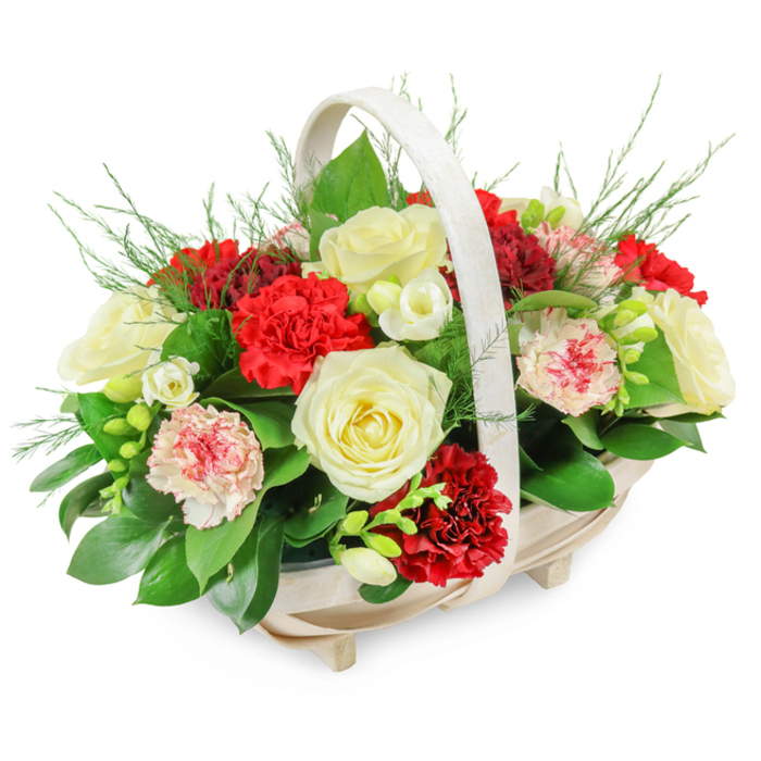 An elegant funeral flower basket, photographed against a clean white background, exudes quiet grace and respect, much like the tranquil corners of Oxford's historic cemeteries. The container is an oblong, pale wooden basket, its natural slats softly curved and supported by discreet little feet that lift it slightly from the surface. A sturdy, arched handle in the same light wood rises gracefully over the arrangement, framing the flowers without overshadowing them. Inside, the design is densely composed, forming a full, rounded mound of blooms and foliage that spills gently over the edges. At the centre, several creamy white roses are fully open, their velvety, layered petals unfolding in classic spirals that convey purity, remembrance, and quiet affection. Nestled among them are rich red carnations, their ruffled petals packed densely to create a plush, velvety texture and deep, emotive colour. Pale pink and bi-coloured carnations soften the contrast, their petals tinged or edged with red, suggesting the subtle nuances of memory and shared stories. Small white blossoms, likely freesias, with slender stems and bell-shaped blooms, peek out between the larger flowers, introducing small points of brightness and a suggestion of delicate fragrance. A generous base of dark, glossy foliage-ruscus or salal-anchors the design, while airy fronds of fern or asparagus plumosa extend upward and outward, giving the composition a natural, slightly wild softness. This is the type of sympathy arrangement we often create for families across Oxford, from Cowley to Jericho, to accompany a final farewell or to be delivered as a comforting gesture to the home, radiating understated elegance and heartfelt condolence.