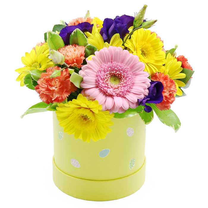 A festive spring floral hatbox is presented against a simple white background, its colours evoking the gentle excitement of Easter celebrations around Oxford's historic streets. The arrangement is compact yet luxuriant, forming a rounded dome that seems to overflow with carefully coordinated blooms. Dominating the front is a single, perfectly formed light pink Gerbera daisy, its many fine petals radiating in soft layers from a pale green central disc, like a sunrise just cresting the skyline over Magdalen Tower. Encircling this focal flower are bright lemon-yellow chrysanthemums, their daisy-style petals splayed outwards in cheerful circles that immediately suggest warmth and happiness. Between them nestle coral-orange carnations, their abundant, ruffled petals folding in on themselves to create depth and a hint of softness, as though you could sink your fingertips gently into each bloom. Deep indigo-purple lisianthus flowers appear at intervals throughout the design, their velvety petals and elegant buds lending a refined contrast that anchors the brighter tones. Rich green foliage, some leaves displaying subtle variegated edges, frames and supports the flowers, adding structure while keeping the overall look airy and fresh, reminiscent of the greenery along the Oxford Canal in early spring. The flowers are arranged in a cylindrical hatbox-style container in a muted pastel yellow-green, with a smooth finish that feels contemporary yet welcoming. Scattered around its sides are small pastel Easter eggs in pale blue, pink, soft green, and white, some embellished with delicate dots or stripes, quietly reinforcing the seasonal theme without dominating the view. This design feels ideal for an Easter lunch table in a North Oxford home, a thoughtful springtime gift for a colleague near Cowley Road, or a bright, hopeful arrangement to welcome guests into a city-centre townhouse.
