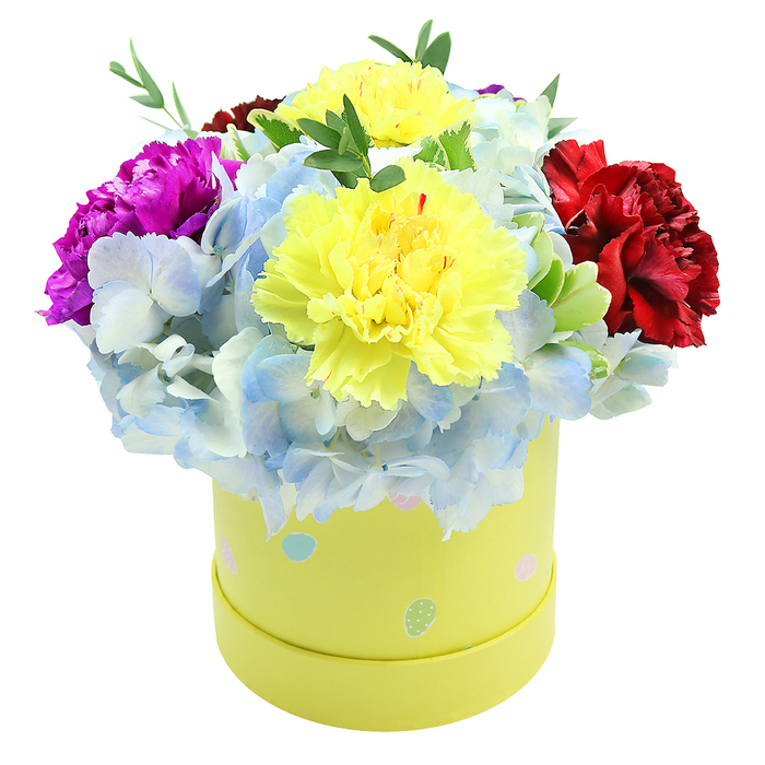 This carefully styled floral gift is presented in a smooth, round lemon-yellow box and photographed against a pure white background to highlight every petal and texture. At the center two voluminous yellow carnations bloom with ruffled, almost feather-like petals that scatter light across their edges, producing a warm, inviting glow. Encircling them are abundant periwinkle-blue hydrangea clusters whose tiny, papery florets create a soft, clouded mass that gently cushions the carnations and lends an airy coolness to the palette. A deep magenta carnation placed to the left introduces a bold, electric accent, and a sumptuous burgundy-red carnation to the right adds luxurious weight and visual balance. Interspersed sprigs of fresh green foliage-slender stems and small glossy leaves-provide a crisp, botanical contrast and the suggestion of recently cut greenery from a backyard or market stall. The box's surface is decorated with irregular pastel polka dots and small egg-like shapes in light blue, soft pink and pale green, some dotted with tiny white speckles, evoking spring celebrations like baptisms or garden parties. The composition feels both contemporary and lovingly curated: compact enough to sit on a bedside table but richly textured enough to be admired across a dining table. Soft daylight emphasizes the interplay of cool and warm tones and the structural layering a professional florist uses to achieve fullness without stiffness. This bouquet suits joyful milestones-birthdays, thank-yous, and small celebrations-and brings a crafted splash of colour to any Oxford home, especially near the Botanic Garden or along the High Street.