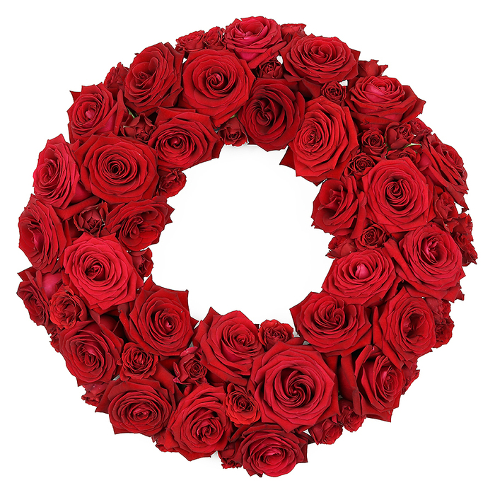 An exquisitely robust circular wreath, built entirely from dozens of fresh, deep red roses, sits against a stark white background. The wreath is densely packed, creating a lush, luxurious texture composed of roses in various stages of bloom and size. Predominantly, large, fully opened rose heads with velvety petals form the main body of the wreath, showcasing their intricate, spiraling centers and rich, consistent ruby-red hues. Smaller, partially opened roses and tightly clustered miniature blooms are interspersed throughout, filling any gaps and adding a dynamic sense of depth and volume to the overall arrangement. The exquisite detail of each individual petal is visible, highlighting the natural beauty and elegance of these classic flowers. This striking red rose wreath conveys powerful symbolism often associated with profound love, passion, respect, remembrance, and sympathy, making it suitable for a wide range of articles discussing floral arrangements for romantic gestures, memorial services, festive celebrations, or elegant home decorations. In Oxford's neighborhoods such as Summertown, Jericho, and the University Parks, it would blend seamlessly into ceremonies, conjuring a sense of timeless grace. The crisp white backdrop ensures the intense color and refined craftsmanship remain the absolute focal point, while the wreath's circular form suggests continuity, unity, and a gentle invitation to pause. Delivered with care across Oxford, this wreath can accompany a modern installation or a quiet, intimate moment of reflection. It is the kind of piece a local florist would propose for a quiet ceremony in Oxford.