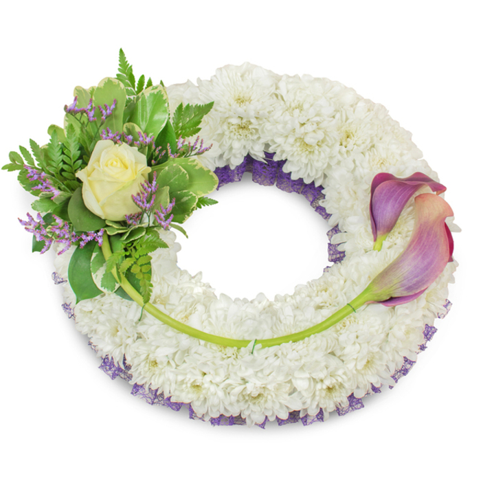 A large, thoughtfully assembled circular wreath built on a dense foundation of immaculate white chrysanthemums, each tiny floret pressed close to its neighbour to create a voluminous, cloud-like surface that reads as peace and purity. Subtle ruffled purple lace or fine netting slips into view beneath the white blooms along inner and outer edges, offering a restrained contrast that deepens the overall palette. Prominently placed at the upper-left is a small, lush cluster centred on a perfectly opened cream-coloured rose, its soft petals catching a hint of pale lemon in their folds. Surrounding the rose are varied greens - broad variegated leaves with paler rims and delicate fern fronds that add light, airy texture - while sprigs of lavender-purple statice provide tiny points of calm, quiet colour. On the right side two long-stemmed calla lilies arch across the lower middle of the wreath; their trumpet-shaped blooms show a gentle colour transition from dusky purple at the rims to a warm peach-pink near the throat, the smooth surfaces reflecting soft light and giving the arrangement a sculptural rhythm. A lone longer stem snakes from the left embellishment across the bottom, neatly fixed and connecting visually to the callas' green stems. Set against a pristine white background, this substantial sympathy wreath evokes the measured solemnity of a memorial service at places like Christ Church Meadow or a chapel near the High Street - a composed tribute that speaks of enduring respect and tender remembrance.