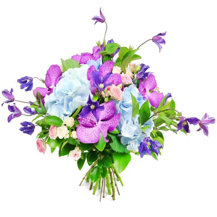 A sophisticated, hand-crafted bouquet rests against a spotless white background, the simplicity of the setting drawing attention to its rich colours and intricate textures. At its core, generous clusters of sky-blue hydrangeas form a lush, cushiony base, their innumerable tiny petals overlapping like soft clouds drifting above the spires of central Oxford. From this tranquil blue foundation emerge dramatic orchids in shades of vibrant fuchsia and saturated purple, possibly Vanda or Phalaenopsis varieties. Their wide petals and striking speckled or veined patterns lend an exotic, almost regal character to the arrangement, as though they were centre stage in a botanical display at the Oxford Botanic Garden. Threading lightly through and beyond the main body of the bouquet, long stems of purple clematis introduce height and a sense of untamed grace, their star or bell-shaped blooms appearing to reach outward, creating an airy, sculptural outline. Tucked among these bolder forms are delicate spray roses in soft pink and ivory tones, opening gently to reveal close-set petals that suggest affection and quiet intimacy. Surrounding everything, swathes of rich green foliage provide structure and depth, from broad, shiny leaves that catch the light to finer greenery that fills small gaps with natural ease. The stems are aligned and tied neatly at the base, showcasing professional floristry skills honed through designing arrangements for Oxford weddings, graduations, and elegant city gatherings. The overall palette of blues, purples, pinks, and greens feels both calming and celebratory, ideal for conveying admiration, gratitude, or support when delivered to homes and offices across Oxford, from leafy Headington to the lively Cowley Road.
