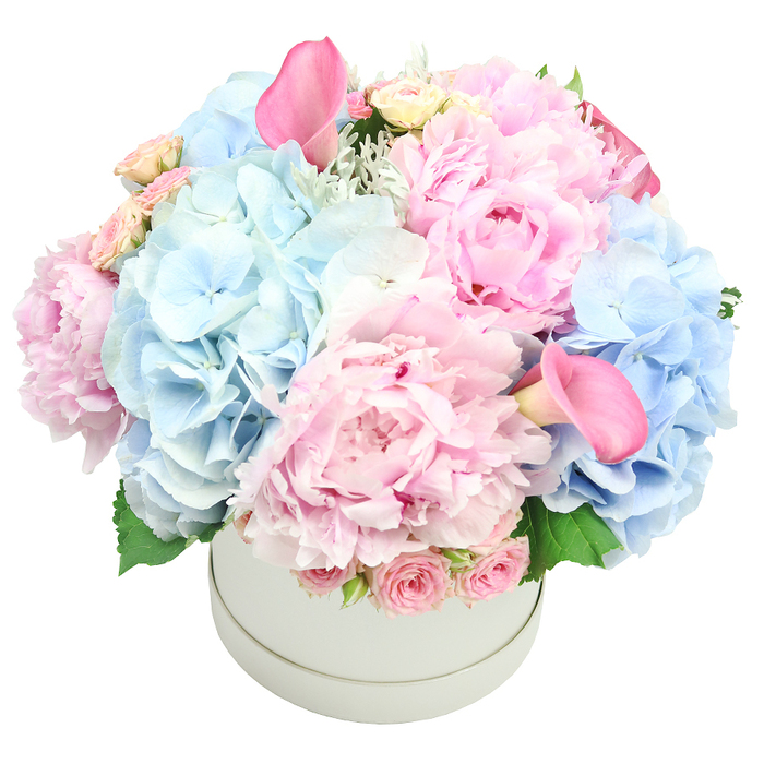 Rendered in a pristine white round hatbox, this stunningly abundant bouquet exudes refined luxury and soft, romantic charm. The focal pink peonies expand with dozens of ruffled petals, while generous mounds of light-blue hydrangeas weave through them, creating a cool counterpoint to the warm pinks. Intermittent clusters of spray roses in cream and blush add delicacy, and two calla lilies-long, trumpet-shaped and more intense rose-rise with architectural grace, one at the top-left edge and the other peeking near the bottom-right. Framing the blooms is a veil of delicate foliage, dusty miller's silvery texture mingling with fresh green leaves to give depth and natural tone. The overall dome is plush and balanced, a design that would command attention as a wedding centerpiece along Oxford's Magdalen Street corridor or at a refined home gathering in Jericho. The image radiates elegance and thoughtful craftsmanship, a gift of romance that is equally suited to anniversaries and milestone celebrations or to simply elevate a room's atmosphere. Carefully prepared by Flowers Oxford, this arrangement embodies freshness and sophistication, ready for delivery across Oxford's neighborhoods, from Cowley Road to the heart of the city.