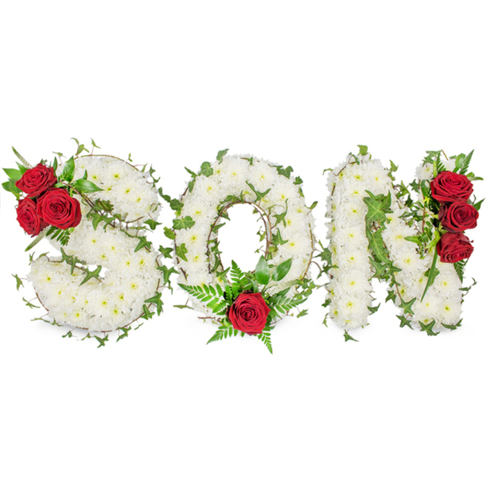 A striking and intimate sympathy piece spells the word 'SON' in unmistakable capital letters, hand-assembled from a dense field of small white spray chrysanthemums against a pure white backdrop. The chrysanthemums are tightly clustered to create a soft, cushiony texture across each letter, their creamy-white faces suggesting peace and solemn reverence. Interlaced among the blooms, glossy green ivy trails and twines, tracing each letter's shape and adding a fresh, living contrast that evokes evergreen remembrance. Deep red roses provide the arrangement's expressive punctuation: on the 'S' a trio of full red roses nestles into the upper left curve with surrounding dark foliage; the 'O' holds a solitary red rose at its lower centre, embraced by delicate fern fronds that give the focal point an airy, graceful halo; the 'N' is set off by a vertical cluster of three red roses along its right-hand edge, their velvety petals creating a powerful, tender accent. Gentle natural lighting highlights the interplay of textures - the chrysanthemums' soft mass against the satin smoothness of the roses and the sheen of ivy leaves - while a faint floral scent brings a quiet, consoling presence. The composition reads as a respectful, personalised letter tribute often chosen for funeral services, memorials or graveside offerings, quietly expressing enduring love and sorrow for a beloved son. The mood is hushed and compassionate, recalling contemplative walks through University Parks or the calm streets around the Covered Market in Oxford.