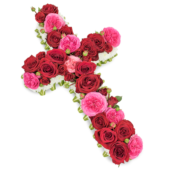 A solemn and elegant floral cross is displayed on a stark white background, its entire surface meticulously covered with roses in tones of deep crimson and vivid fuchsia, framed by a refined edge of white blossoms. The vertical stem and horizontal arms are densely packed with large red roses, each bloom fully open and velvety, their layered petals creating a plush, almost fabric-like appearance that speaks of devotion, honour, and enduring love. Interwoven among these are generous fuchsia pink garden roses and smaller buds, some just beginning to unfurl, bringing softness and a gentle lift of colour that softens the intensity of the reds. Scattered rosebuds in matching shades slip between the larger heads, adding texture and the suggestion of memories still blooming in the hearts of those left behind. Around the perimeter, a narrow band of tiny, crisp white flowers - perhaps miniature chrysanthemums or spray carnations - neatly traces the outline of the cross, giving it a clear, defined silhouette and a sense of purity and serenity. Slim threads of green foliage or ribbon occasionally peek out from the sides, adding a polished finish that reveals the skilled hand of an Oxford florist used to creating thoughtful funeral tributes for churches and chapels from Summertown to Littlemore. The lighting is gentle and even, enhancing the richness of the roses and the quiet glow of the whites without distraction. This carefully arranged floral cross is a traditional yet deeply expressive sympathy piece, suitable for funeral services, memorials, or graveside tributes across Oxford, offering a visual prayer of remembrance, faith, and heartfelt goodbye.