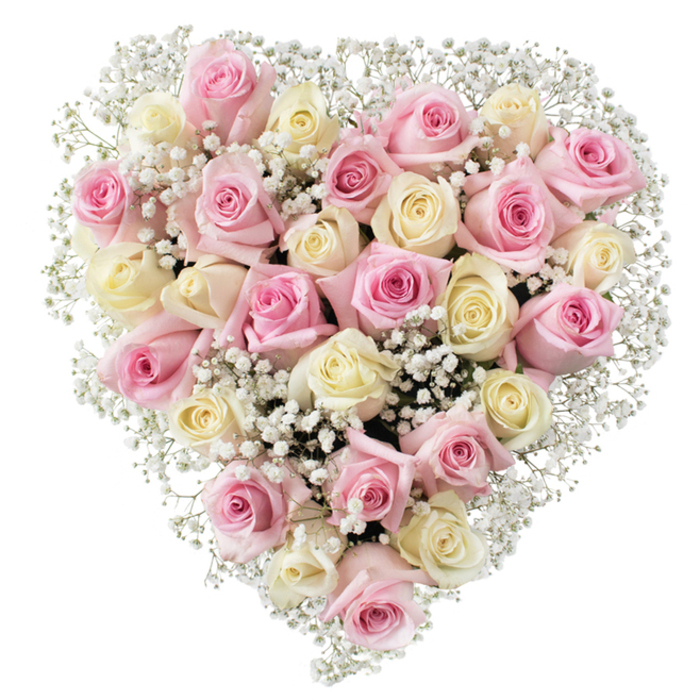 Set against a crisp, immaculate white background reminiscent of Oxford's tranquil cloisters, a heart-shaped bouquet of roses and baby's breath commands the eye with its precise design and evocative presence. Expertly arranged by local Oxford florists, about 30 to 35 roses in shades of gentle blush pink and softly glowing cream overlap in artful density, embodying both luxury and subtlety. Some roses are newly opening, their petals curved in tightly, while others are in full bloom, flaunting velvety layers that catch and reflect bright, even lighting. Baby's breath fills the spaces between, its miniature white blossoms giving the entire design a weightless, airy feel, much like the tranquil gardens dotted around Christ Church Meadow. Every element is harmoniously balanced, from the symmetry of the heart's outline to the interplay of colour - the creamy whites lending warmth to the ensemble. This floral heart is more than a bouquet; it's a gesture of profound caring, ideal for funerals in Headington or to mark a special anniversary in North Oxford. The composition draws the gaze and stirs the heart, echoing the timeless appreciation for beauty and sentiment that resonates throughout Oxford.