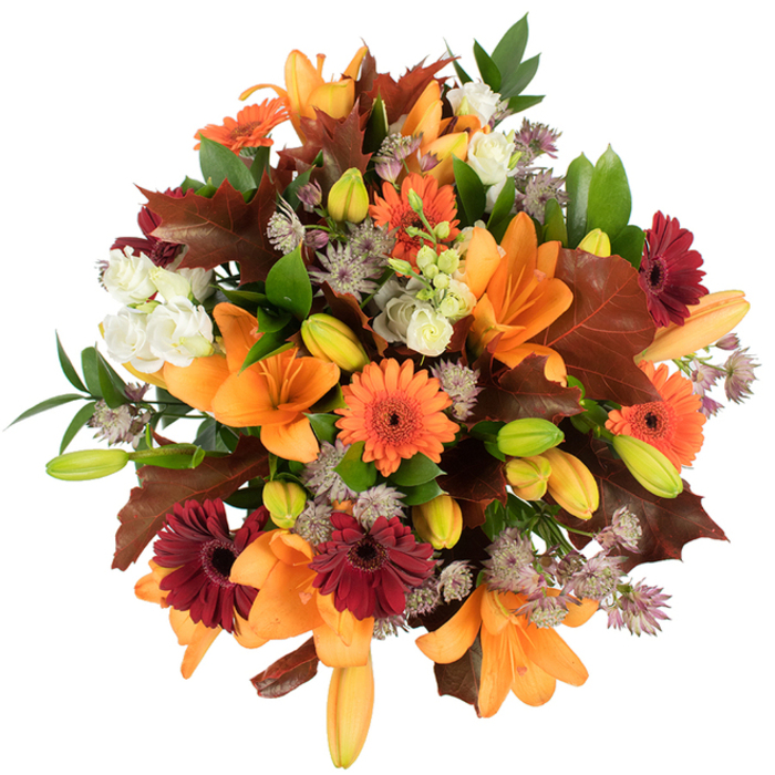 A lush, elevated view of a richly textured fall arrangement, the kind of bouquet you might discover in a shop window on High Street or lovingly prepared for a market stall near Botley Road. Several oversized orange Asiatic lilies form the bouquet's focal point, their broad petals unfurled in elegant trumpets, surrounded by many pointed, unopened buds that promise sequential flowering. Vivid orange Gerbera daisies and deep burgundy-red Gerberas punctuate the design with their bold, circular faces, while creamy white Lisianthus (or similar small ruffled roses) provide soft punctuation and a delicate, airy counterpoint. Small, intricate sprays of purple Astrantia add a lacy, antique texture that offsets the more robust blooms, and generous, lobed leaves in shades of reddish brown and mahogany are arranged to mimic the drama of fallen oak leaves along the towpath by the Oxford Canal. Lively green leaves and slender stems weave through the centre, giving the arrangement both structure and freshness. The bouquet is photographed against a pure white background with bright, even lighting that makes each colour pop and reveals tactile details-the glossy sheen of lily petals, the fine filigree of Astrantia, and the crisp edges of autumn leaves. The mood is warm, abundant, and celebratory, ideal for seasonal home décor or as a heartfelt gift for an anniversary or harvest celebration in Headington or Cowley. Prepared with the care of a local florist, this composition reflects the tactile pleasure of arranging flowers and the comforting scent of late-season blooms; it is offered by Flowers Oxford as a tribute to the season's richness.