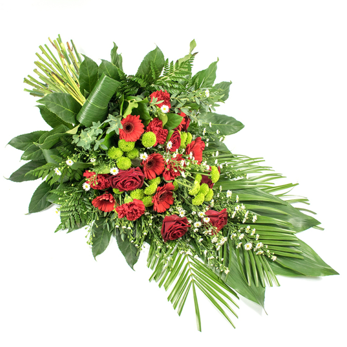 This photograph shows a sophisticated, elongated funeral or sympathy spray resting on a stark white backdrop, allowing every detail of the flowers and foliage to be clearly defined. The arrangement flows in a tapered, teardrop shape, wider at one end and gradually narrowing to a delicate point, a style often chosen as a casket spray or to accompany a memorial display. At its heart, rich dark red flowers create a powerful focal point: classic, velvety roses, bold gerbera daisies with deep, shaded centres, and gently frilled carnations, each petal catching subtle highlights as if seen in soft chapel lighting. Nestled among these crimson blooms are clusters of bright lime-green button chrysanthemums, their round, compact form adding both playful texture and a clean, contemporary twist, much like the vibrant greens seen in Oxford's College gardens in late spring. Small white flowers, possibly daisies or matricaria, are lightly sprinkled throughout, softening transitions between the stronger colours and lending a breath of air and innocence to the composition. Lush greenery frames everything, with broad, glossy dark leaves such as salal providing a solid base, while feathery fern fronds and other textural foliage layer over and beneath the flowers. On the lower right side, slender palm-like leaves splay outward in a graceful fan, reinforcing the elongated silhouette. At the upper left, a bundled group of straight green stems or leaves rises vertically, bound at the base by a single broad leaf wrapped in a smooth, sculptural curve. Crafted with the considered hand of a local Oxford florist, this tribute is fitting for services across the city, from quiet gatherings near Cowley Road to more formal ceremonies in central Oxford, expressing deep sympathy and enduring remembrance.