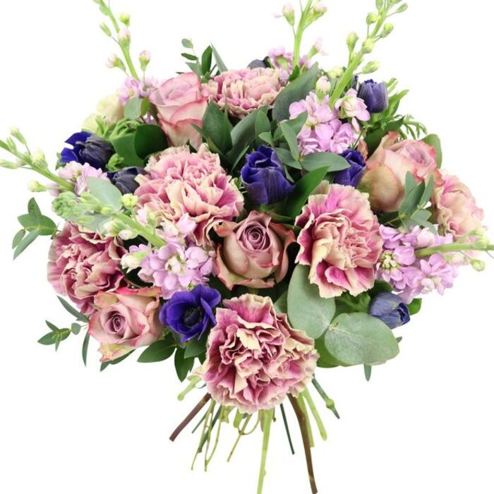 In this image, a hand-tied bouquet is showcased against a crisp white background, every bloom standing out clearly as if arranged for a gallery display in central Oxford. The focal point is a cluster of fully open garden roses in gentle, romantic shades of blush pink, dusty rose, and muted mauve, their petals spiralling outward in generous layers that radiate warmth. Nestled among them are numerous frilly carnations, each petal finely ruffled and bi-coloured, with creamy or beige centres gradually deepening to soft blush and rich rose-pink along the margins, giving the bouquet a plush, cloud-like texture. Providing a compelling contrast, several deep indigo-blue and royal purple flowers appear throughout: some as smooth, elongated buds reminiscent of tulips, others as bold anemones with velvety petals and dark, almost black centres that draw the eye like a focal point in a painting. Slender stems of lilac and pale lavender stock punctuate the design, their tightly packed, small blossoms climbing the stem to add a vertical, garden-inspired feel. Surrounding all of this are rich green elements-dark, glossy leaves and round, silvery eucalyptus that introduce cool tones and a suggestion of fresh, aromatic foliage, similar to scents you might catch wandering through the Botanic Garden. The stems are gathered neatly and left exposed at the base, revealing the craftsmanship typical of Flowers Oxford and emphasising the bouquet's freshness for same-day delivery around areas like Cowley and North Oxford. The palette of pinks, purples, blues, and greens creates a sense of refined romance, perfect for weddings, anniversaries, or thoughtful gestures of sympathy and support.