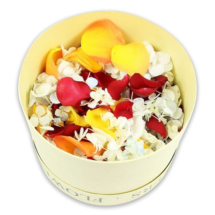The photograph presents a simple yet luxurious floral tribute: a cylindrical, pale cream hatbox filled to overflowing with a carefully curated blend of dried petals and tiny florets, isolated on a bright white background. The box itself is understated and elegant, with a soft paperboard texture and a faintly embossed FLOWERS motif around the rim, similar in tone to aged ivory, giving it a timeless quality that would sit comfortably in a traditional Oxford home or chapel. Within the box, the petals rise in a generous dome, their edges creating a subtle, textured landscape. Dominant are the deep crimson rose petals, richly coloured and velvety, interwoven with bright yellow and soft peach-orange petals that lighten the palette and suggest warmth and remembrance rather than sorrow alone. Between the larger petals, countless tiny white hydrangea-like florets weave through the mix, adding a lacy, cloudlike softness; some appear to catch the light with the faintest blue tint, echoing clear skies over Oxford's dreaming spires. The overall effect is of an abundant yet gentle confetti of colour, carefully preserved to maintain shape and depth. Viewed from an overhead, slightly angled perspective, the contents are the sole focus, with no ribbon or additional ornament to distract from the natural beauty of the dried flowers. This design feels particularly suited to funeral tributes, memorial scatterings, or remembrance gatherings in Oxford, whether used to line a service aisle, adorn a memory table, or be shared by family and friends as they say their goodbyes in a quiet churchyard or crematorium garden.