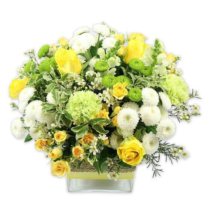 A lush, dome-shaped floral arrangement overflows with sunny yellow, lime green, and soft white blooms, carefully arranged in a low square glass vase and photographed in bright, even light against a clean white background. The design has an elegant yet approachable feel, reminiscent of a welcoming table display in an Oxford café near the Covered Market. At its heart are buttery yellow roses, some fully open to reveal spirals of velvety petals, others still in bud, promising more colour to come. These are interwoven with sprays of miniature yellow roses that bring a charming, almost wildflower energy. Radiant white pompom chrysanthemums punctuate the bouquet with rounded forms, their tight, plentiful petals giving a plush texture. Scattered between them are glossy lime green button chrysanthemums, their small, spherical heads adding bright, playful notes. Larger, ruffled light-green blooms-similar to decorative carnations or speciality green mums-offer a soft, textured counterpoint, helping to bridge the yellow and white tones into a harmonious palette. The entire design is supported by a rich framework of greenery: broad, variegated leaves with pale edges, darker foliage that deepens the overall colour story, and delicate sprigs of fine filler greens. Tiny white filler flowers, perhaps waxflower or gypsophila, peek out like little stars, adding intricacy without overwhelming the main blossoms. Around the middle of the clear vase, a band of rustic, woven natural fibre is wrapped snugly, and a coordinating ribbon in pale yellow or lime green is tied around it, giving the arrangement a crafted, artisan feel. This bouquet radiates warmth and renewal, ideal as a cheerful gift for an Oxford graduation, a bright note in a city-centre office, or a joyful centrepiece for gatherings near the High Street.