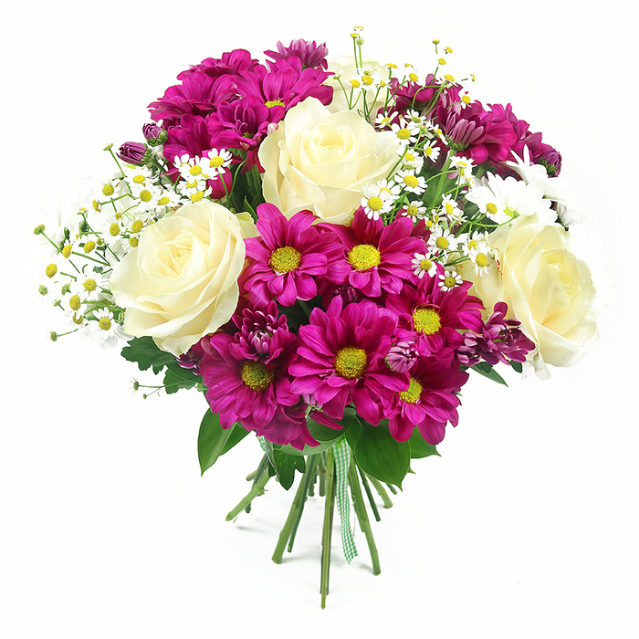 Photographed against a spotless, bright white background, a generous mixed bouquet appears to almost glow, its colours and textures layered with the precision of a skilled Oxford florist. At its centre, several large roses open fully, their petals moving from rich creamy white at the edges to a gentle pale yellow near the core, each blossom forming a classic spiral that draws the eye inward. Surrounding these, abundant chrysanthemum blooms in vivid fuchsia and deep magenta create a vibrant ring of colour, their neat, daisy-like petals radiating out from yellow-green centres that resemble drops of fresh lime. Here and there, smaller white daisy sprays, likely chamomile-style flowers, thread through the composition, their tiny yellow eyes and thin white petals lending a light, meadowy feel, as if they were plucked from the verges along the paths by Christchurch Meadow. Nestled among the open flowers are a few darker purple-pink chrysanthemum buds, still compact and layered, adding visual depth and a sense of unfolding life. The greenery is lush but not overpowering, with deep green leaves framing the blooms and giving the arrangement a tidy, hand-crafted shape. At the base, all the stems are pulled together firmly and wrapped with a neat green and white gingham ribbon, the simple check pattern echoing traditional country styling while keeping the bouquet secure for easy delivery in and around Oxford. Soft, even lighting enhances the natural sheen on the petals and the crisp contrast between cream, magenta, and green. The result is a joyful yet composed mixed-colour bouquet, perfect for birthdays, thank-you gestures, or simply bringing a burst of garden freshness indoors.