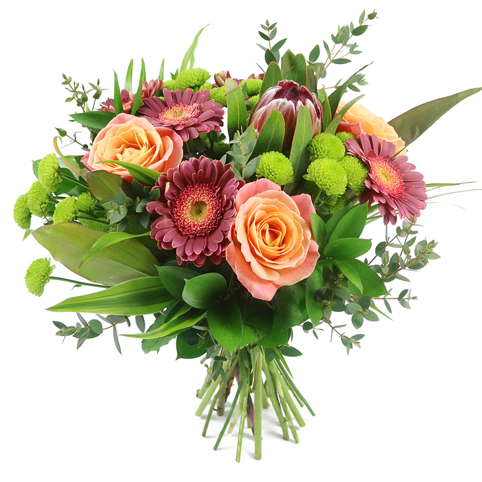 A beautifully composed, hand-tied bouquet is photographed against a clean, white backdrop, allowing the intricate mix of colours and textures to shine in a way that feels at home in a stylish Oxford living room or office near St Giles'. At the centre, full-headed roses unfurl in rich layers of peach, apricot, and soft salmon, some petals edged in a paler cream tone that gradually deepens towards a warm orange core. These classic blooms are interwoven with striking Gerbera daisies in saturated fuchsia and burgundy, each one displaying a halo of fine, ray-like petals surrounding a prominent, often darker centre, which sometimes reveals a subtle ring of lighter pink that draws the eye inward. Rising confidently from within the bouquet is a distinctive King Protea, its sturdy, artichoke-like form made of overlapping bracts in hues of maroon, reddish-brown, and muted mauve-pink, lending an exotic, sculptural presence that feels both modern and timeless. Bright lime-green Santini chrysanthemums are dotted throughout like lively punctuation marks, their small, button-shaped flower heads tightly packed with tiny petals, creating a playful pom-pom texture and an invigorating flash of colour. Encircling and supporting the flowers is a lush frame of greenery: broad, glossy dark leaves forming a rich backdrop, tall, slender blades of foliage giving height and rhythm, and soft sprays of eucalyptus with rounded, bluish-green leaves introducing movement and a gently aromatic note. The stems are carefully aligned and tied at the base in the traditional hand-tied style, suggesting a bouquet ready to be slipped into a favourite vase in Summertown or Headington. This abundant, artfully balanced arrangement is perfect for marking special occasions, from birthdays and anniversaries to milestone achievements, and makes an elegant choice for flower delivery across Oxford.