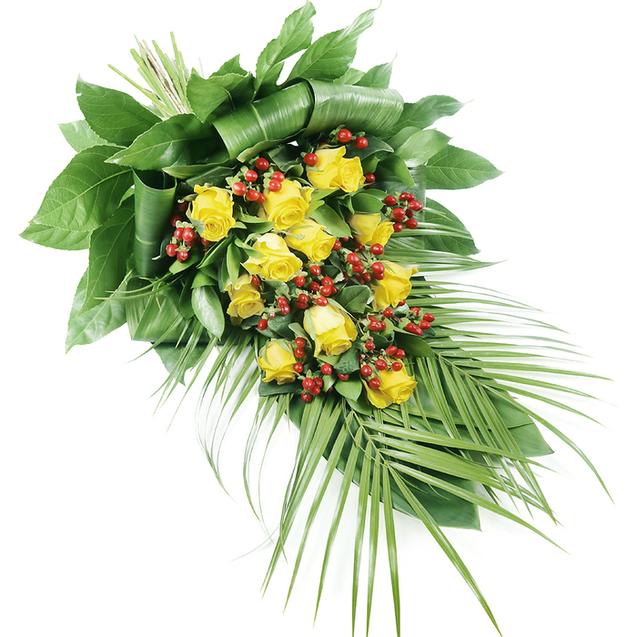 A beautifully composed funeral spray in shades of yellow and green, accented with deep red berries, is displayed on a pure white background, allowing every detail of the florist's work to stand out. The design runs diagonally from the fuller, rounded top left to a softer, tapered point at the lower right, creating a natural, flowing line that would sit elegantly along a coffin or at the front of a service in an Oxford church. At its heart, a cluster of around a dozen to twenty sunny yellow roses provides a radiant focal point. Some blooms are still partially closed, their petals cupped tightly, while others have opened wider, revealing layered spirals of petal that look almost buttery in texture, inviting the eye to linger. Scattered throughout these roses are small, bright red berries, most likely Hypericum, their gleaming surfaces and compact shape introducing a lively textural contrast and echoing the colours of autumn leaves along the streets of Jericho or Headington. Surrounding this central cluster is a generous framework of greenery. Dark, broad leaves at the top have been folded and wrapped with precision, giving a sense of structure and careful craftsmanship, as though the foliage is gently cradling the roses. From the lower right, longer, palm-like fronds extend, each leaflet fine and narrow, with a gentle curve that suggests movement and airiness. The foliage ranges from deep to mid-green, with subtle hints of lighter tones that keep the composition from feeling heavy. Illuminated by soft, even lighting, the arrangement appears fresh and serene, a meaningful, uplifting tribute suitable for funeral services and memorial gatherings across Oxford and its surrounding villages.