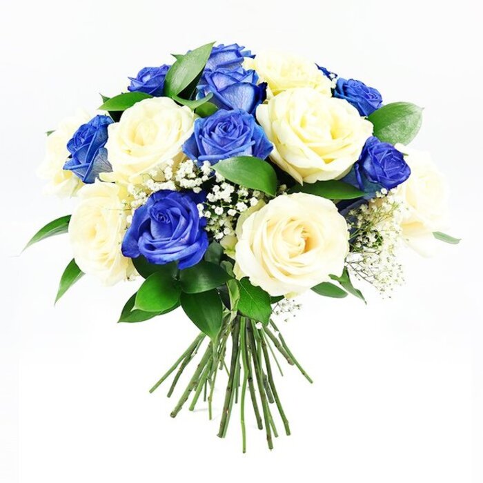 Set against a flawless white background, this hand-tied bouquet of royal blue and creamy ivory roses appears as a calm, luminous sphere of colour and texture, reminiscent of a quiet corner of an Oxford college chapel filled with flowers. The roses are densely packed into a rounded dome, each bloom angled to show off its distinct character: the blue roses are rich and saturated, flowing from deep sapphire at the centre to slightly lighter tones toward the petal edges, while the cream roses are soft and luminous, with hints of pale butter and ivory that seem to glow where the light touches them. Some flowers are fully open, revealing intricate spirals of overlapping petals, while others remain partially closed, promising further unfurling over the next day or two. Among the roses, fine stems of white baby's breath scatter airy clusters of minuscule blossoms, introducing a delicate, cloud-like texture that lightens the overall effect. Dark green foliage frames the design from underneath, the leaves broad and slightly pointed, creating a supportive cradle for the roses and enhancing their colours through contrast. The gathered stems extend cleanly below the blooms, straight and fresh, tied firmly yet unobtrusively so the focus stays on the flower heads themselves. The lighting is bright but gentle, enhancing the sheen of the petals and the natural veining of the leaves without casting harsh shadows. This bouquet carries a quiet, composed beauty, ideal for sending condolences across Oxford-from Botley to Cowley Road-when you wish to offer a message of peace, respect, and enduring affection. It feels like a thoughtfully crafted expression of sympathy, created by a florist who understands how flowers can bring comfort in difficult moments.