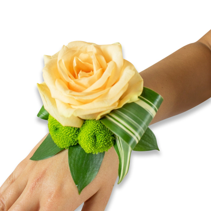 A meticulously composed wrist corsage rests on the inner forearm, its presence distinct against a bright white background. The visible skin tone is a warm, light-to-medium brown, and the floral centerpiece is a large, fully opened rose in a delicate champagne-peach hue, its many soft petals layered to convey refinement and gentle warmth. Beneath this principal bloom two lively lime-green button chrysanthemums add a compact, textured cheerfulness: their rounded, pompom forms create tactile contrast and a vivid colour note that enlivens the arrangement. The flowers are cradled by rich, dark green foliage-broad leaves of salal or ruscus that provide structure and depth-while a striking variegated leaf, likely a Dracaena or Ti variety with crisp horizontal white stripes, is artfully curled and folded to form an architectural accent that wraps subtly toward the wrist. The fastening is not shown, suggesting the corsage is secured invisibly with elastic or a slim ribbon so the floral silhouette remains uninterrupted. Photographed with clean studio light that highlights textures and gentle shadows, the piece reads as both classic and modern, suitable for prom, wedding, or other formal celebrations. As a local florist familiar with Oxford's Covered Market and Westgate, I'd place this as a refined choice for bridal parties or formal evenings-fresh, wearable, and designed to endure a long day of photographs, handshakes, and warm embraces while holding onto its delicate scent of rose and green foliage.