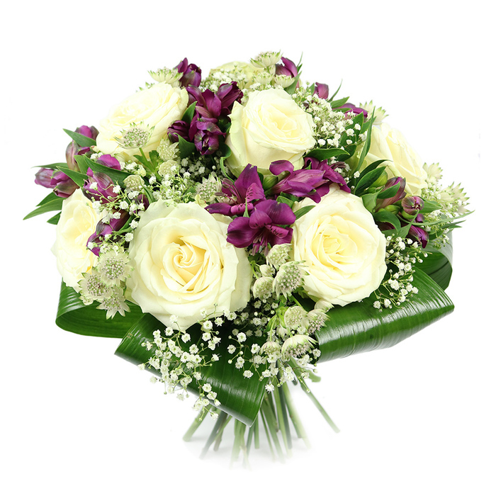 A beautifully balanced bouquet is presented in a clear, minimalist studio setting, the stark white background ensuring all attention rests on the flowers themselves, as if viewed on a spotless workbench in an Oxford florist studio. Dominating the centre are numerous creamy white roses, each one fully unfurled so that the intricate spiral of petals is visible right down to the heart of the bloom. Their velvety texture and gentle sheen catch the light subtly, suggesting freshness and careful conditioning. Interlaced with these classic roses are generous stems of purple and magenta alstroemeria, their elongated, trumpet-like blooms adding shape and energy to the rounded form. The deeper colour of the alstroemeria injects drama and contrast, evoking twilight tones over the city's spires, while their fine markings add a painterly detail. Fine, branching sprays of white gypsophila weave between the larger flowers, filling small gaps and lending a soft, clouded effect that lightens the entire composition. Closer inspection reveals green-white astrantia, each small head composed of a central dome of florets surrounded by sharp, papery bracts; they introduce a slightly wild, botanical note that recalls the natural beauty along the River Cherwell. Encircling the bouquet is a tidy collar of broad, glossy aspidistra leaves, folded with precision so that their deep green surfaces curve protectively around the blossoms, creating a neat, almost architectural silhouette. The stems, aligned and bound tightly, emerge from the base, confirming a hand-tied style ready to drop into a vase in a North Oxford townhouse or a cosy Cowley terrace. This arrangement feels poised and composed, ideal for commemorating a special anniversary, offering a gracious thank-you to an academic mentor, or sending a comforting message to loved ones across Oxford.