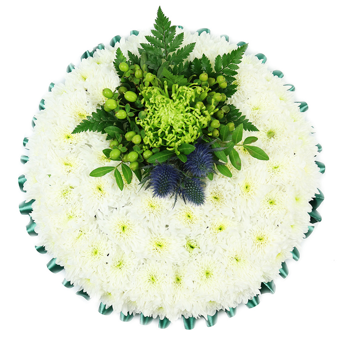 This image shows a carefully composed circular funeral wreath viewed from above, set against a plain white background so every detail of the flowers stands out. The base of the tribute is built from dozens upon dozens of small white chrysanthemums, each bloom pressed close to its neighbours so that together they form a dense, even cushion. Their petals are fine and gently curved, creating a soft, plush texture that suggests purity and peace, much like an early morning mist over Port Meadow in Oxford. A subtle hint of pale green at their centres brings life and warmth to the cool white surface. Wrapped around the outer edge is a deep emerald satin ribbon, pleated into gentle scallops. This glossy border catches the light and neatly defines the round shape, adding a formal, almost ceremonial touch.   

Set slightly towards the top of the circle is a striking central spray of green and blue elements that draws the eye. A vivid lime-green spider chrysanthemum bursts outward with long, slender petals, giving movement and a sense of renewal. Around it are clusters of bright apple-green Hypericum berries and smaller green blooms, nestled amongst rich foliage and feathered fern fronds that create depth and shadow. Rising from this verdant cluster, two bold Scottish thistles display their spiky, spherical heads in tones of deep blue and violet, introducing a distinctive texture and a symbolic nod to Scottish heritage.   

The tribute combines traditional white sympathy flowers with meaningful accents, making it a fitting choice for funerals, memorials, or celebrations of life in Oxford. Whether delivered to a church in Jericho or a crematorium in the wider Oxford area, the piece conveys respect, remembrance, and personal connection in a quietly beautiful way.