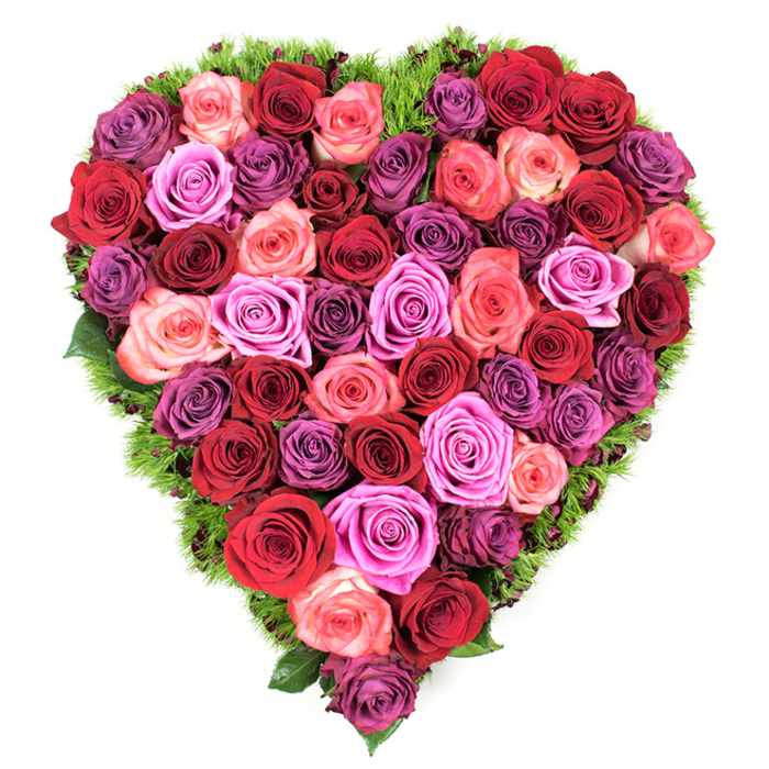 Viewed from above, this heart-shaped composition of roses reads as both a floral sculpture and a language of feeling: dense, perfectly formed, and rich with colour. The arrangement layers deep crimson and burgundy roses with classic reds, easing into soft blush and coral pinks, lifting through vivid fuchsia and magenta, and settling into lavender and deeper plum tones. Each bloom is presented at full or near-full opening, petals velvety and intricately folded around tight centres so that the cluster creates a lush, uninterrupted carpet of petals across the heart's surface. A thin perimeter of fine, dark-green foliage - reminiscent of maidenhair fern or a cushion of moss - outlines the shape, its cool texture softening the intense colour and defining the silhouette with an almost botanical lace. Gentle overhead lighting reveals delicate shadows and the sculptural quality of the petals, while the imagined scent is a soft, classic rose fragrance that fills the space without overpowering. This piece is equally at home as a romantic gesture for Valentine's Day or an anniversary, a tender Mother's Day offering, or as a stately memorial arrangement at a funeral or wake. I can picture it resting on a table in the Covered Market or placed with reverence in a ceremony at University Parks; the workmanship reflects a measured, local expertise and a desire to honour meaningful moments with natural beauty and quiet dignity.