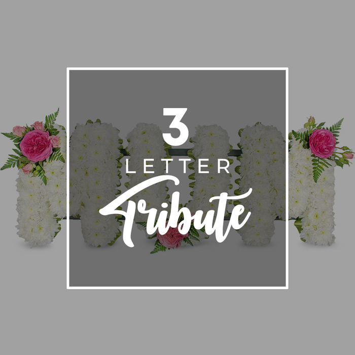 This image presents a carefully composed scene of custom funeral letter tributes, arranged on a neutral grey background that gives the flowers a calm, gallery-like setting. The central focus is on three large floral letters enclosed by a fine white frame, spelling MOM in bold, upright forms. Each letter is expertly created from a dense bed of small white chrysanthemums, their compact, cushion-shaped heads pressed closely together so that no gaps show, achieving a perfectly even surface. The pure white blooms lend an atmosphere of purity and peace, similar to a quiet walk through Oxford's University Parks on a soft, overcast day. Touches of colour are introduced through thoughtfully placed accent sprays. On the first M, at the top left, a cluster of fuchsia pink roses and paler pink rosebuds nestles into the chrysanthemums, enhanced by delicate green fern leaves that soften the edges and add gentle movement. The circular O remains largely simple, with one small pink rose tucked at its lower curve, a subtle hint of warmth. The second M carries the same style of accent at the upper right-another fuchsia rose, rosebuds, and fern-balancing the first and giving the tribute an intentional, symmetrical rhythm. Over the central letters, white text sits neatly within the frame: a bold 3 above the word LETTER, and beneath, Tribute rendered in an elegant flowing script, explaining that this is a three-letter floral memorial. Around the edges of the image, partially visible floral letters made from the same white chrysanthemums, pink roses, and fern foliage suggest that more bespoke names or initials can be created in this style, as families in Oxford might request for services held in Summertown, Cowley, or Jericho.