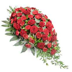 Lush red funeral spray arranged in a substantial teardrop shape, photographed against a clean white background so every colour and contour stands out clearly. The upper left of the design is densely packed with fully opened dark red roses, their velvety petals spiralling outwards in layered whorls that speak of profound love and honour. Threaded between the roses are vivid red spray carnations, smaller yet exuberant, with finely frilled petals that catch the light and break up the smoothness of the rose blooms. The red flowers sit on a generous cushion of greenery: deep forest-green leaves form a structured base and frame, while rounded eucalyptus leaves in a muted, silvery green weave through the centre, cooling the palette and adding a soft, modern touch. Toward the tapering lower right, slender tendrils of light green foliage trail away from the main body of flowers, giving the arrangement a gentle cascade that feels both composed and organic. The overall mood is solemn yet warm, the kind of tribute a family in Oxford might choose for a farewell at a local church near Jericho or a crematorium service by the ring road. Though the image focuses purely on the flowers, you can almost imagine their subtle scent-earthy greens mingling with the sweet spice of carnations and the perfume of roses-offering quiet comfort. This traditional casket spray is ideal for expressing sympathy, remembrance, and unwavering respect during difficult goodbyes across the Oxford community.
