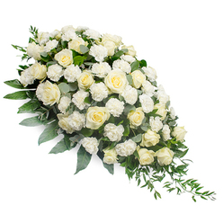 A refined white funeral spray stretches diagonally across a clean white background, shaped in a soft crescent that feels both flowing and composed, like a quiet path curving through one of Oxford's historic college gardens. The upper left portion of the spray is luxuriously full, packed with layers of white and cream roses at different stages of bloom, from tightly furled buds to wide, open blossoms with intricate spirals of velvety petals. Between these classic roses, delicate white carnations add a feathery, ruffled texture, softening the overall look and lending a feeling of gentle comfort. The flowers rest on a lush foundation of mixed greenery, including broad, deep green leaves and cool, silvery eucalyptus that peeks out from between the blooms, giving a subtle blue-green cast in places. Slender ruscus fronds and similar trailing foliage sweep elegantly from the fuller end towards the tapered tip at the lower right, creating a graceful, cascading motion that draws the eye along the entire design. The lighting is bright yet soft, enhancing the purity of the white petals and the fresh vibrancy of the foliage without any distraction in the background. This serene tribute could easily be imagined at a funeral or memorial held near Oxford's Botanic Garden or one of the city's quiet parish churches, offering a message of peace, remembrance, and enduring love. The arrangement feels like a careful, respectful creation by a local florist, designed to sit beside a casket, stand at a lectern, or rest on a memorial table as a calm, dignified expression of sympathy and support.
