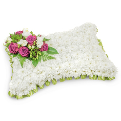 This rectangular memorial pillow is composed entirely of densely clustered, pure white chrysanthemums, their petite heads creating a plush, even surface that evokes softness and repose. The overall impression is one of calm and purity: the white field forms a serene stage for a concentrated accent positioned at the top-left corner. There, deep magenta and fuchsia roses bloom with layered, velvety petals that read like a quiet pledge of love and respect; small white freesias and tiny white buds nestle between them, lending a faint, sweet scent and a delicate visual lift. Dark-green glossy leaves and fern fronds radiate beneath the cluster, grounding the design with natural texture and gentle movement. A refined trim of pale green satin ribbon, pleated and overlapped around the pillow's perimeter, provides neat definition and a cool, restorative note against the snow-white flowers. Photographed against a crisp white backdrop with soft, natural shadowing, the arrangement preserves its three-dimensional shape and the subtle craft of the floristry. Designed as a sympathy tribute for funerals or memorial services - whether for a service near the University Church, a memorial at the Botanic Garden or a graveside in Headington - this pillow speaks of rest, consolation and lasting remembrance. Available for same-day local delivery across Oxford neighbourhoods such as Jericho and Summertown, it is a gentle choice when families seek a composed, heartfelt floral expression.