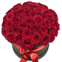 This masterfully crafted Oxford bouquet features a striking dome of nearly a hundred velvety red roses, each carefully selected for its rich, intense hue and plush petal texture. The flowers are arranged with precise artistry, their unfurling layers creating a tapestry of crimson that appears both structured and enchantingly soft. Placed within a round, matte black hat box, the design feels both modern and timeless-a nod to the elegance that characterizes central Oxford's most renowned flower boutiques. Around the upper rim, a radiant red satin ribbon hugs the box, gathered into a show-stopping bow that glistens with a jewel-like crystal accent. The hatbox, sturdy yet graceful, anchors the vibrant roses and heightens their visual allure, much as the spires of Oxford give structure and contrast to the city's skyline. Set against a crisp white background, every petal and brilliant red tone pops, capturing the essence of passion and devotion. The arrangement's subtle, earthy fragrance hints at flower markets along Botley Road or memories of rose gardens in the colleges. Thoughtfully composed, this floral display embodies a sense of generous romance, cherished celebration, or meaningful anniversary-ready to make a grand statement for someone special in Oxford, whether hand-delivered in Jericho or arranged for an elegant gathering by the river. The bouquet stands as a symbol of heart and refinement, echoing Oxford's enduring romance.