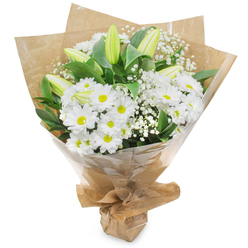 Here the language of white flowers is spoken simply and elegantly: a compact, upright bouquet arranged to celebrate purity and calm. Pristine chrysanthemum blooms, each with layers of narrow white petals encircling a soft yellow eye, form the generous majority of the composition and lend a cheerful, classic character. Between these, pale green-yellow lily buds punctuate the silhouette, their elongated shapes and faint striping promising future blossoms and adding a poised, sophisticated tension to the overall rhythm. Delicate pockets of gypsophila float through the arrangement, their tiny white florets like breath across the larger shapes and lending a nearly weightless softness. Lush dark green foliage frames the stems and provides visual depth, the leaves glossy and full-bodied against the matte of the petals. The bouquet is hand-gathered and wrapped in an inner layer of natural brown kraft paper that feels rustic and tactile, then sheathed in a clear, glossy cellophane that protects while allowing every petal to show; the envelope is neatly tied at the base, forming a tidy, portable stand. The scent is restrained, clean, with a faint green note suggestive of grass after a short shower. This arrangement reads as quietly celebratory and suitably versatile for birthdays, new homes, or sympathy; it feels like something you might pick up on a bright morning near University Parks or along the towpath by Folly Bridge. Available for local delivery across Oxford, it reflects the care of a neighbourhood florist attentive to texture, balance, and the particular way white flowers convey hope.