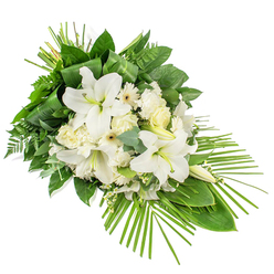 An elegant white and green funeral spray is displayed against a simple white backdrop, its long, diagonal shape guiding the eye from a fuller top left down to a tapered lower right. The arrangement centres on several magnificent white Oriental lilies, their generous petals opening like soft stars, some blooms fully unfurled to reveal pale yellow-green stamens, others held in refined buds that hint at future flowering. Around them, clusters of creamy white roses, ruffled carnations, and white Gerbera-style daisies with delicate darker or golden centres create a layered, comforting texture. Fine white filler blossoms are threaded throughout, catching the light and adding a gentle, mist-like veil between the larger flowers. The blooms rest on a foundation of lush greenery: broad, polished leaves support the centre, wisps of fern introduce a feathery movement, and rounded eucalyptus leaves lend a cool blue-green contrast. At the top of the tribute, slim green leaves are artfully folded and bound to form a clean vertical line, while from the bottom right edge, a spray of slender palm fronds sweeps outward, giving the piece a modern, asymmetric flow. The overall effect is tranquil and refined, a thoughtful expression of condolence that speaks of purity, respect, and remembrance. It is the kind of tasteful floral tribute a family in Oxford might choose for a quiet service near Headington, a memorial by the river in Iffley, or a farewell gathering close to the colleges, offering a gentle presence and a moment of calm amid grief.