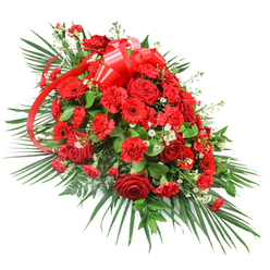 Set against a crisp white background, this elongated red funeral spray appears like a polished, living tapestry of colour and texture. The centre of the arrangement is intensely full, then narrows gracefully at each end, giving a sense of gentle movement and direction, as though guiding the eye towards a final farewell. Deep red roses form the emotional core, some tightly held in bud and others fully open with velvety petals, symbolising both unspoken feelings and a life shared. Around them, clusters of red carnations add intricate ruffles and a luxuriant softness, while bold red gerbera daisies with dark centres introduce a modern, open-petalled contrast that feels uplifting even in sorrow. Scattered throughout, fine sprigs of dainty white filler blooms create points of light, softening the intensity of the reds and adding visual depth, like small moments of peace in a time of grief. A striking red satin ribbon crowns the top-central area, tied into a broad, multi-loop bow with long, trailing tails that weave down through the flowers, suggesting a final, loving embrace. The entire spray is cradled by abundant foliage: long palm leaves sweep outward in confident arcs, complemented by rich, darker green leaves and feathery fern fronds, building a lush, green foundation that frames the flowers beautifully. This dignified tribute, crafted in the style favoured by many Oxford families for church services and crematorium chapels, conveys warmth, courage, and enduring love, making it a fitting choice for a casket spray or prominent memorial arrangement in and around Oxford.