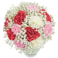 Handcrafted by Oxford floral experts, this radiant bouquet bursts forth with emotion and vibrant colour, perfectly suited for memorable milestones or gestures of heartfelt thanks. Lush, multi-layered carnations-rich red, soft pink, and velvety white-rise with gentle exuberance from a crystal-clear glass vase, while delicate white baby's breath suspends itself in a gossamer dance around the bold blooms. The varietal harmony creates an inviting interplay between intensity and serenity, allowing the vividness of the carnations to shine through the gentle mist of gypsophila. Viewed in soft, even lighting that brings clarity to each petal and soft shadow to the folds, the rounded composition emanates thoughtfulness, ideal for celebrations from Iffley Road to Summertown or across riverside homes in Jericho. The carefully arranged stems, visible through the vase's transparency, ground the exuberance with an organic touch. This bouquet captures a feeling of refined festivity-a subtle statement piece for birthdays or as an elegant centrepiece for academic dinners in Oxford's historic colleges. Each flower's tactile presence is a testament to skilled craftsmanship, combining tradition and freshness in a way that naturally enhances life's special occasions within the city's vibrant community.