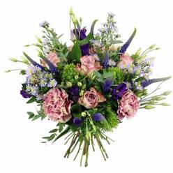 Set against a bright white backdrop, this elegant hand-tied bouquet looks as though it has just been lifted from a florist's workbench off Oxford High Street. At its centre, several soft pink roses gently unfurl, each bloom revealing spirals of velvety petals that shift from a deeper blush in the core to a paler, almost porcelain edge. They are accompanied by large, deeply ruffled carnations in tones of dusty rose and mauve, whose layered frills bring a sense of richness and comfort, like a favourite silk scarf. Stretching upward between the rounder flowers are tall, tapering spikes of deep indigo-violet Veronica, adding slim, painterly lines that draw the eye through the design. Clusters of rich purple lisianthus tuck in between the roses, their satin-smooth, bell-shaped petals adding a note of quiet luxury. Scattered throughout, dainty daisy-like aster blooms in soft lavender and periwinkle create a misty, light texture, echoing the gentle haze of an early morning walk along the River Thames near Port Meadow. Around the blooms, a collar of greenery in varied shades of green and sage frames the colours: lime-green, almost chartreuse filler offers lively pops of brightness, contrasted by more subdued, silvery eucalyptus leaves and other foliage that provide structure and depth. The stems, bound neatly together, fan out at the base in a natural bundle, clearly showing this is a hand-crafted bouquet, ready for delivery to homes and offices across Oxford. The arrangement radiates tenderness and celebration, making it suitable for birthdays, anniversaries, get-well wishes, or simply brightening a quiet evening in a North Oxford living room.