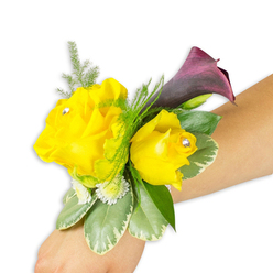 A compact, wearable bouquet is artfully displayed on a pale forearm, photographed against a pure white backdrop to emphasize texture and colour. Two vivid yellow roses take centre stage: one more open and luminous, the other smaller and delicately cupped, their petals layered like soft ribbons. Each rose is finished with a tiny clear crystal set near its centre, catching and scattering light with each subtle movement. Rising behind the roses is a single dark plum calla lily, its trumpet-shaped form smooth and sinuous, providing a striking, almost architectural contrast to the round, romantic roses. Interlaced between the blooms are airy sprays of asparagus fern that lend feather-light volume, while broad variegated leaves - pale-edged, glossy, and cool to the touch - anchor the piece. Little white filler florets tuck into the base, adding a dotted texture reminiscent of miniature stars. The overall scent is a gentle rose perfume with a crisp green note from the foliage; the arrangement sits diagonally across the wrist from bottom-left to centre-right, demonstrating how it rests when worn for an occasion. The corsage is secured with a thin, unobtrusive band so the flowers appear to float on the wrist, ideal for a prom in Jericho or a riverbank wedding by the Botanic Garden. An experienced floral stylist would describe this as joyful and poised - yellow optimism tempered by refined, moody plum - a small wearable composition that reads both celebratory and elegant in photographs and in the soft evening light of Oxford.