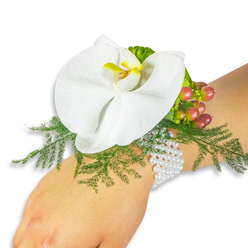Resting against a stark white backdrop, this elegant wrist corsage is composed around a single pristine Phalaenopsis orchid whose broad white petals radiate calm and poise. The orchid's central labellum catches a tiny blaze of yellow and deeper orange, a jewel-like detail at the heart of the bloom. Surrounding the flower, airy sprigs of asparagus fern fan out in bright green, forming a soft, textured nest that contrasts beautifully with the orchid's smooth surface. A small cluster of Hypericum berries sits to the upper right, their glossy skins graduating from pale green to warm pink and rich crimson, suggesting natural ripeness and a quiet autumnal warmth. A piece of ruffled lime-green foliage provides an additional lively edge. The whole piece is anchored to the wrist by a vintage-inspired multi-strand bracelet of tiny white pearls whose cool sheen complements the bloom and lends a touch of heirloom luxury. Photographed in even daylight against white, the corsage reveals fine details - the orchid's subtle sheen, the fern's lace-like veins, the berries' glossy highlights - reminiscent of arrangements prepared by Flowers Oxford for weddings around Jericho, Summertown and near Magdalen Bridge. The overall mood is romantic and restrained: suitable for brides, prom couples, or a thoughtful gift before graduation, evoking the calm confidence of local craftsmanship and the faint green scent of fresh foliage carried from a nearby florist studio.