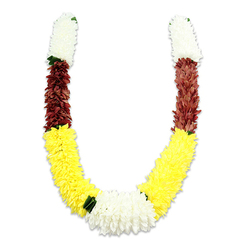 Captured against a stark white field that throws the garland into crisp relief, this U-shaped ceremonial mala displays confident bands of colour and a finished, tactile quality that speaks to patient craftsmanship. Each arm begins with a compact, cylindrical cluster of delicate, white chrysanthemum-like fabric flowers whose feathered petals create a soft halo at the top. Below that, a concentrated strip of maroon or deep reddish-brown fabric blossoms adds depth and a contemplative warmth, its tiny petals arranged so densely they form a plush, almost velveteen ribbon. Dominating the lower sweep, long sections of bright yellow flowers unfurl in generous clusters - lively, sunlit and voluminous, they curve gracefully to define the 'U' and provide a jubilant visual weight. The meeting point at the bottom center is resolved by a broad, lush cluster of white blooms that acts as an anchor, mirroring the white tips and accentuating the garland's symmetrical balance. Small dark green leaf accents are placed as discreet separators between transitions, particularly where yellow meets white, offering a natural punctuation and hint of verdant contrast. The fabric petals catch a soft studio light and throw subdued shadows, underlining the careful layering of each tiny blossom. This piece reads as ceremonial and comforting, suited for offerings at temples, wedding mandaps, or festive displays during Diwali and Holi. As someone who has arranged similar garlands for ceremonies around Jericho and St Giles, I appreciate how the combination of white, yellow and maroon communicates purity, prosperity and devotion without ceremony feeling heavy - it remains tender and welcoming.
