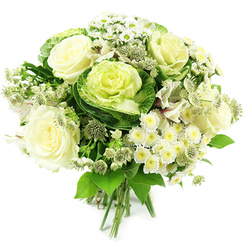 This image shows a beautifully crafted white and green bouquet, hand-tied and displayed against a clean, white studio backdrop so every nuance of texture and colour is easy to imagine. Full-headed ivory and cream roses sit at the centre, their layered petals opening generously, like calm, steady breaths, bringing a sense of comfort and reassurance. Around them, ornamental cabbages or kale create a striking focal point, their ruffled rosettes shifting from soft lime at the core to deep jade on the outer leaves, a look that feels both garden-inspired and fashionably urban, much like the quiet streets off Jericho in Oxford. Mixed among these statement blooms are tiny white spray chrysanthemums and daisy-like flowers, their petite faces and soft yellow hearts lending a gentle, uplifting brightness, almost like flecks of sunlight. You can see spiky, starry clusters of astrantia tucked between the roses and kale, their intricate greenish-white heads adding a delicate, natural rhythm, while slim stems of white alstroemeria weave through, their faint markings hinting at subtle movement. The bouquet is surrounded by generous greenery, from polished dark leaves to softer, lighter-toned foliage, building depth and framing the flowers in a lush, rounded silhouette. At the base, the stems are clearly visible and tightly bound, confirming this as a hand-tied design ready for a vase on a windowsill overlooking the dreaming spires. The overall feeling is cool, composed, and sincere, perfect for expressing sympathy, celebrating a minimalist home interior, or sending a tasteful congratulations to someone in Oxford.