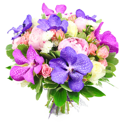 This photograph shows a sumptuous floral bouquet laid out against a bright white backdrop, as if ready to be delivered from a cosy Oxford flower shop near Jericho. The arrangement is densely packed, with no gaps between blooms, creating an opulent dome of colour and texture. Dominating the design are generous, fully opened pink peonies, their many layers of silken petals forming soft, rounded shapes that suggest romance, warmth, and thoughtful care. Rising between them are exotic Vanda orchids in saturated purple and fuchsia tones, their broad, almost leathery petals richly patterned with speckles and veins that lend the bouquet a contemporary, artistic edge. Around these statement flowers, smaller spray roses in blush pink and peach, along with creamy white roses, appear in every stage of opening, from tight, hopeful buds to half-unfurled blossoms. Tiny white filler flowers, reminiscent of dainty chrysanthemums or asters, flicker through the composition like points of light, sharpening the contrast with the deeper hues. All of this is cradled by lush, glossy greenery that curves outwards from the base, giving the bouquet a natural, garden-fresh feel, as though it has just been gathered from borders near the Oxford Botanic Garden. The stems are pulled neatly together and finished with a purple ribbon and a touch of sheer mesh, underscoring the professional craftsmanship. The overall mood is joyful yet refined, ideal for engagement celebrations, exam congratulations, or thank-you gifts delivered across Oxford's neighbourhoods, from Headington to Botley, by a florist who understands both colour and emotion.