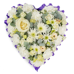 A deeply expressive heart-shaped floral tribute is presented against a plain white backdrop, its generous curve completely covered with fresh white and cream flowers that evoke a hush similar to stepping into one of Oxford's old stone churches. At the centre, a single creamy white rose becomes the focal point, its velvety petals tightly layered in a graceful spiral that suggests devotion and unbroken love. Surrounding it, clusters of white carnations unfurl into soft, cloud-like ruffles, lending the arrangement a comforting, cushiony texture. Tall, spiky white chrysanthemums and delicate button-style blooms add contrast and structure, their pale green and yellow centres shining softly like candlelight on a quiet evening walk along the High Street. Smaller cream roses and partially opened buds are scattered thoughtfully throughout, echoing treasured memories and moments that remain close to the heart. Cool-toned eucalyptus foliage nestles between the blooms, its blue-green leaves bringing a gentle, herbal freshness and a sense of natural calm, much like the peaceful greenery in University Parks. Framing the entire composition is a rich, deep purple ribbon, carefully gathered into a ruffled, scalloped edge that traces the heart's outline with dignified precision. The interplay of pure white petals, muted greens, and that single halo of purple creates a tribute that is both understated and profoundly moving, like a quiet word of condolence from a neighbour. It feels like the work of an experienced Oxford florist, thoughtfully designed as a funeral or memorial arrangement to convey sympathy, remembrance, and the enduring bond of love.