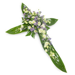 This floral cross is composed to offer calm and consolation: seen from a slight overhead viewpoint on a plain white ground, its shape is immediately recognisable and artfully precise. The structural base is made of broad, glossy tropical leaves-their waxy surfaces and visible veins arranged like protective panels forming the arms and centre point of the Christian cross. Resting atop that verdant bed are clusters of soft, ruffled lisianthus in creamy ivory and clean white, their petals unfolding with a fragile, elegant geometry. Interspersed among them are compact, daisy-like white chrysanthemums whose neat round faces provide contrast and brightness, while fine sprays of pale lavender limonium or asters weave through the grouping, introducing a cool, consoling note of purple that deepens the composition without overwhelming it. Delicate strands of slender green filler foliage are woven in to add texture and a natural, garden-like softness. The photograph's neutral white background and gentle, even light make the colours read true and the textures tactile-the leaves gleam subtly and the blooms reveal layered petal edges. The scent, if imagined, would be faintly green and floral, not cloying but comforting; the visual voice of the piece is one of quiet support and dignity. This is a traditional sympathy cross suited to memorial services across Oxford-placed at a church door, beside a coffin, or on a graveside-offering a composed, tender tribute that speaks of remembrance and peace.
