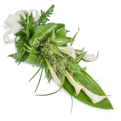 There is a composed serenity to this elongated bouquet: clean white Calla Lilies arranged in a descending line from top-left to bottom-right, their trumpet forms pointing with quiet intent and their smooth petals luminous against a pristine white backdrop. The lilies' pearly cream merges with pale green at stems and buds, suggesting freshness and life. Large, glossy tropical leaves-tactile and deep green-provide a structured foundation, some carefully curved to cradle the blooms while others are folded to create subtle volume. Variegated leaves threaded through the centre bring flashes of pale stripe and lightness, and feathery fern fronds soften the silhouette, introducing an earthy woodland scent into the mental image. Small, almost frothy sprigs of light green foliage tuck between larger elements as natural fillers, lending an artisanal, hand-gathered feeling, and a few slender, grass-like blades extend outward to create graceful movement. A textured off-white bow, reminiscent of linen or fine burlap, rests at the bouquet's upper corner, its soft loops suggesting warmth and human care. This arrangement reads as a dignified expression of comfort-appropriate for moments of remembrance or quiet celebration-and it feels perfectly at home being delivered across Oxford, whether to a family home near Jericho or a memorial service close to the High Street. The overall palette of white and nuanced greens, the mix of glossy, feathery and woven textures, and the careful diagonal composition convey both professional craftsmanship and a gently consoling presence.